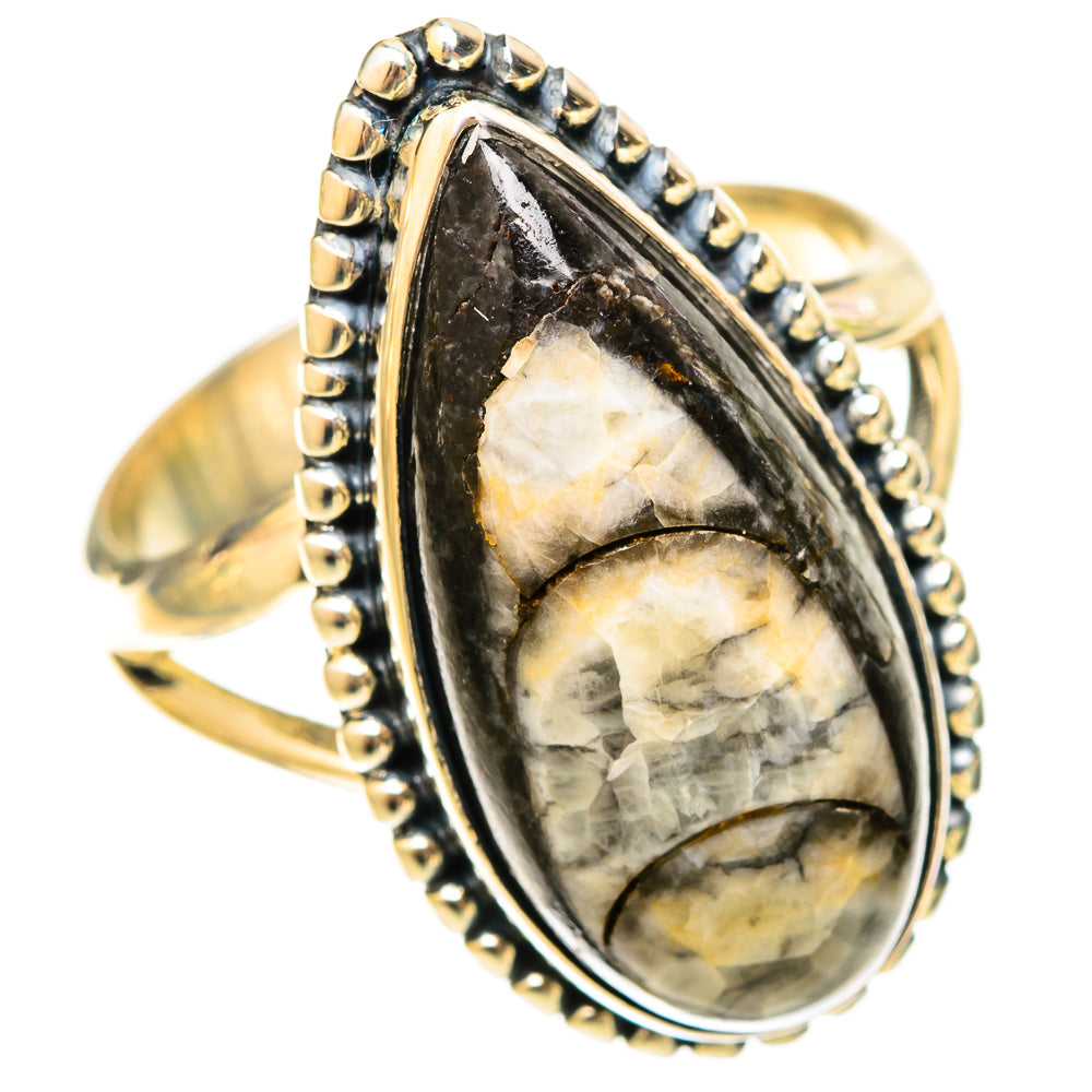 Orthoceras Fossil Rings handcrafted by Ana Silver Co - RING120921 - Photo 2