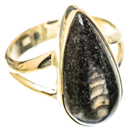 Orthoceras Fossil Rings handcrafted by Ana Silver Co - RING121085 - Photo 2