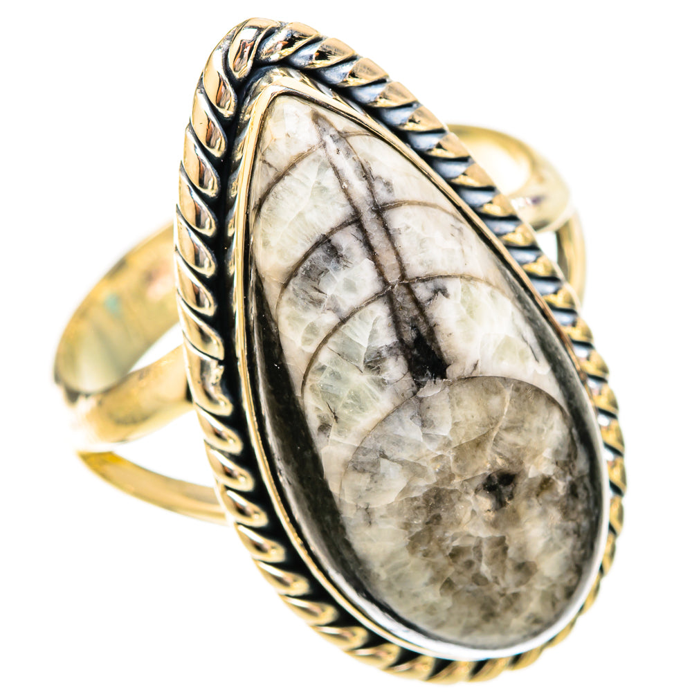 Large oval fossil orthoceras ring, sterling silver with ornate twisted band