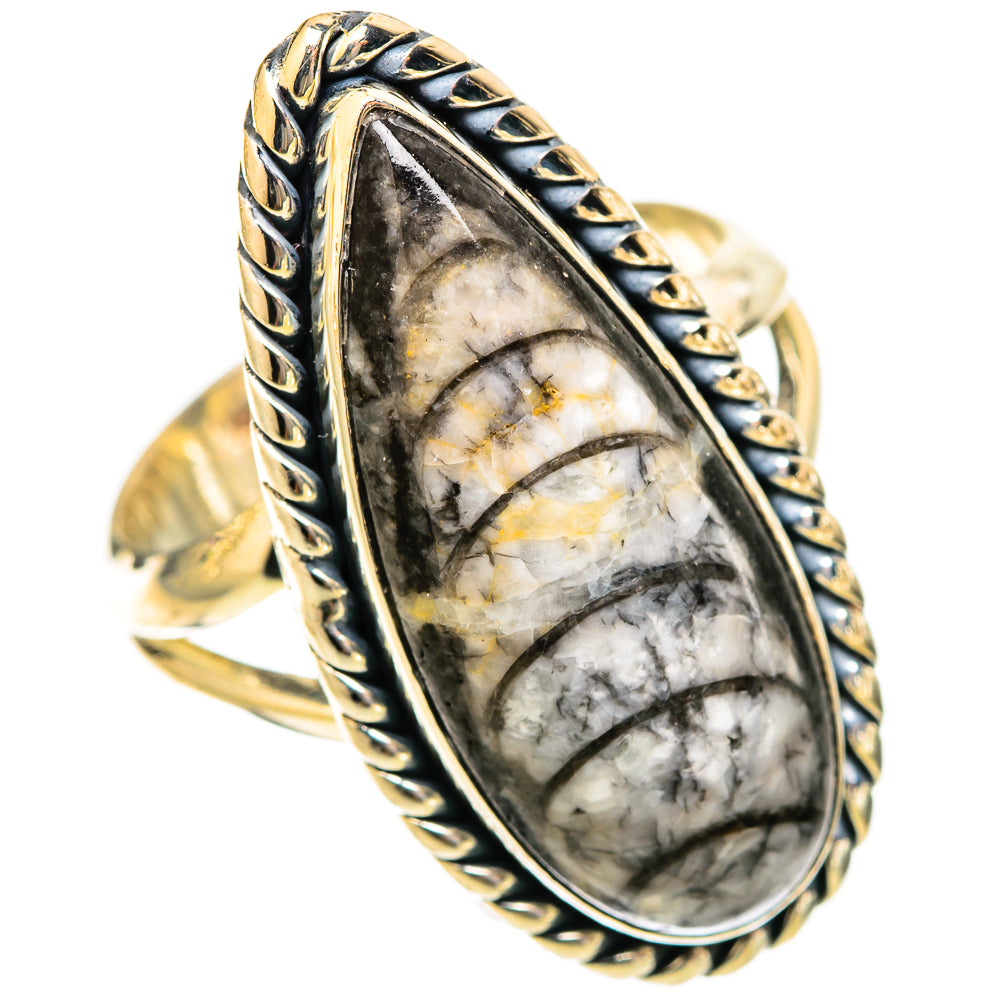 Orthoceras Fossil Rings handcrafted by Ana Silver Co - RING121538 - Photo 2