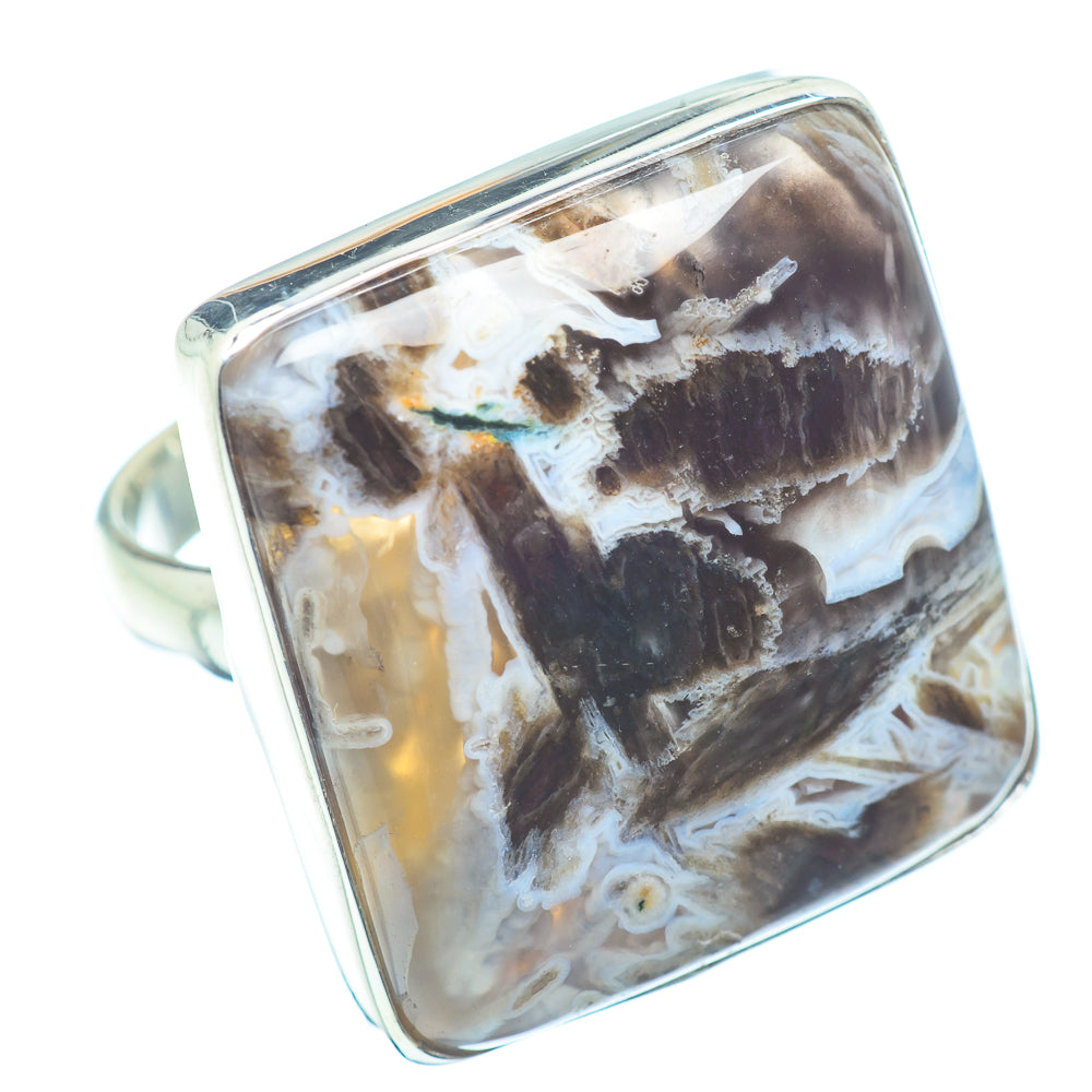 Turritella Agate Rings handcrafted by Ana Silver Co - RING35664