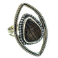 Trilobite Rings handcrafted by Ana Silver Co - RING44707
