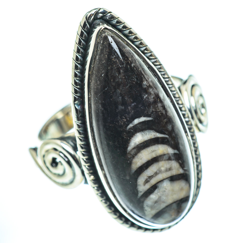 Orthoceras Fossil Rings handcrafted by Ana Silver Co - RING55562