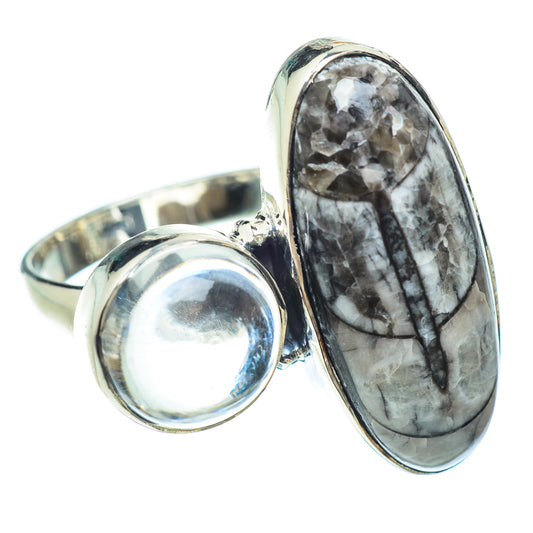 Orthoceras Fossil Rings handcrafted by Ana Silver Co - RING56264