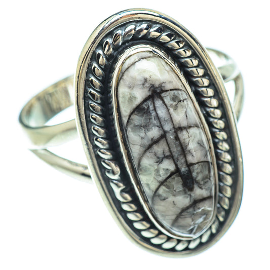Orthoceras Fossil Rings handcrafted by Ana Silver Co - RING56523