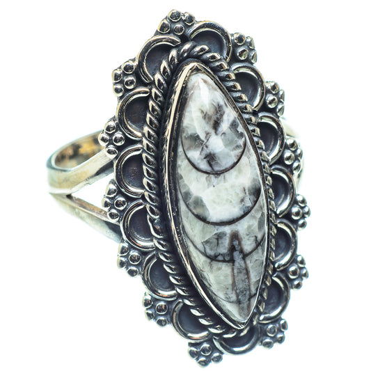 Orthoceras Fossil Rings handcrafted by Ana Silver Co - RING59379