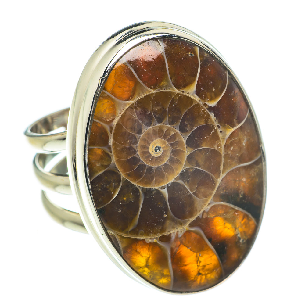 Ammonite Fossil Rings handcrafted by Ana Silver Co - RING60102