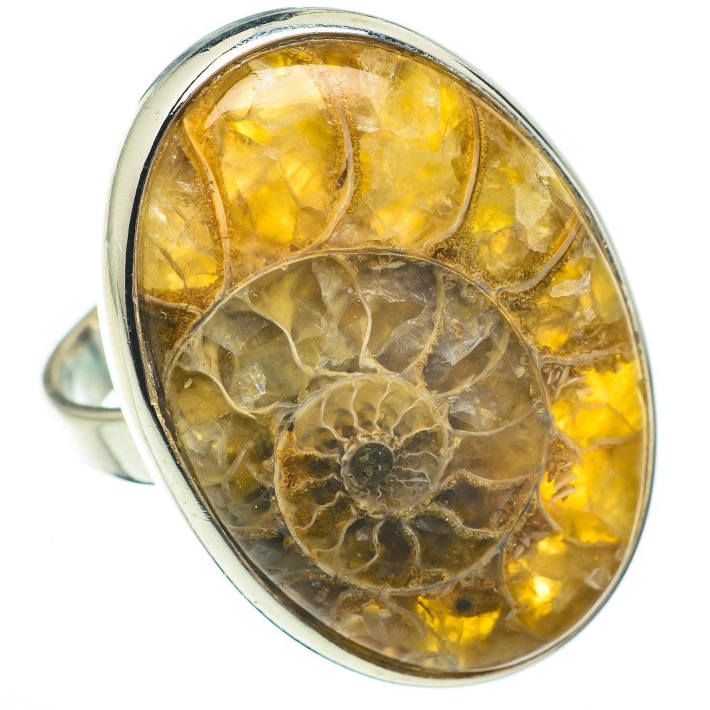 Ammonite Fossil Rings handcrafted by Ana Silver Co - RING60664