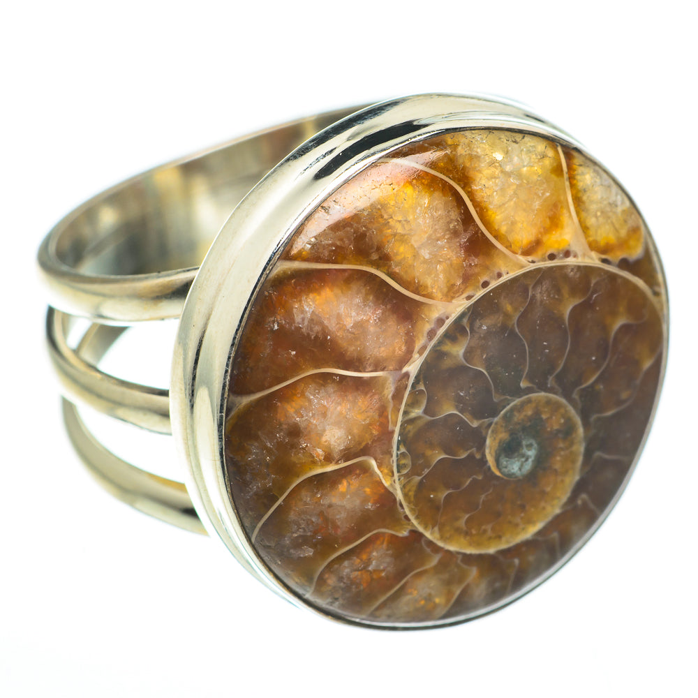 Ammonite Fossil Rings handcrafted by Ana Silver Co - RING60695