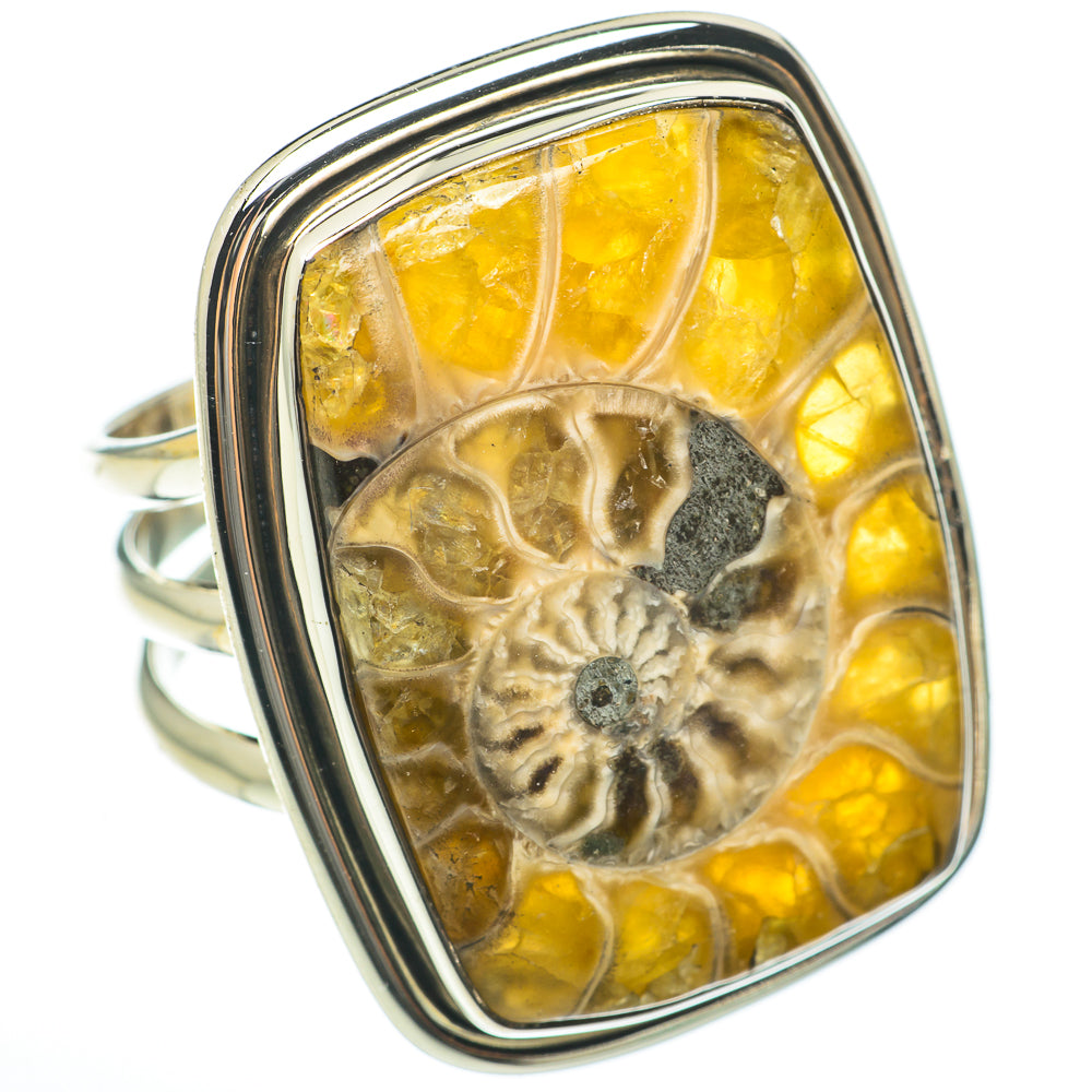 Ammonite Fossil Rings handcrafted by Ana Silver Co - RING60720