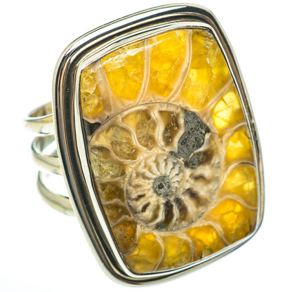 Ammonite Fossil Rings handcrafted by Ana Silver Co - RING60720