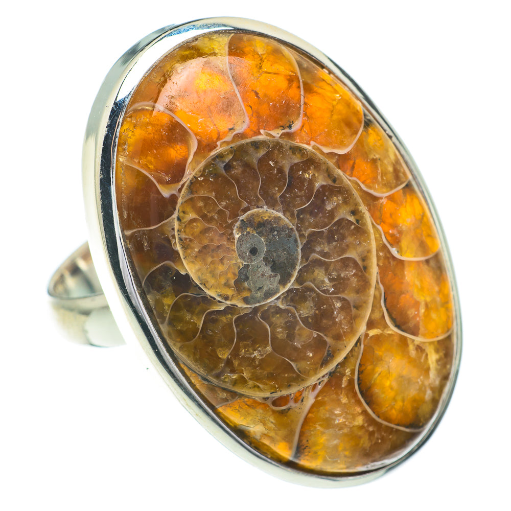 Ammonite Fossil Rings handcrafted by Ana Silver Co - RING60995