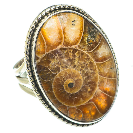 Ammonite Fossil Rings handcrafted by Ana Silver Co - RING61023