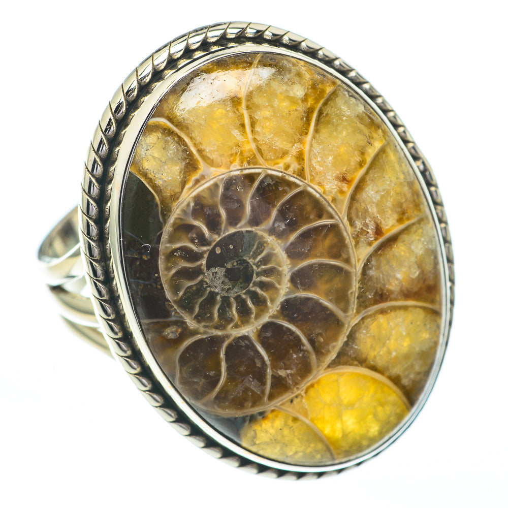 Ammonite Fossil Rings handcrafted by Ana Silver Co - RING61103