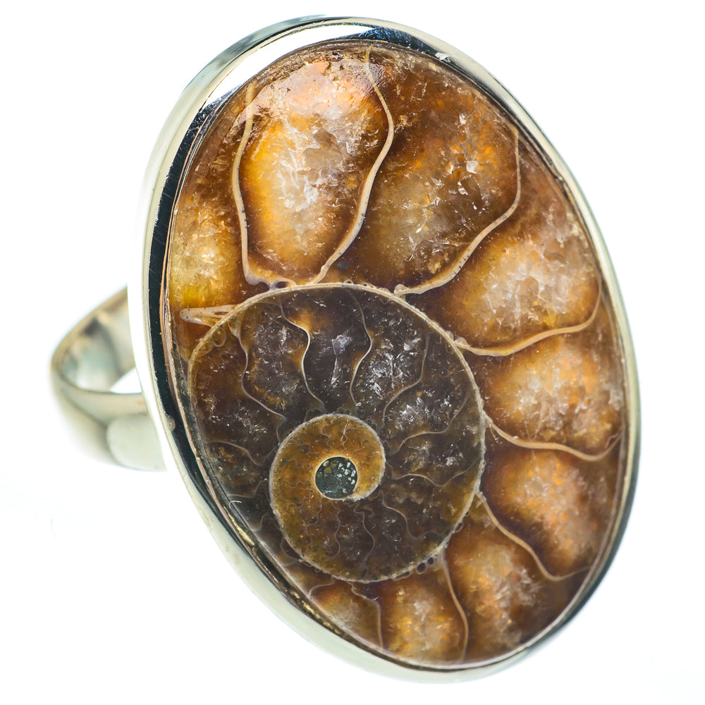 Ammonite Fossil Rings handcrafted by Ana Silver Co - RING61852