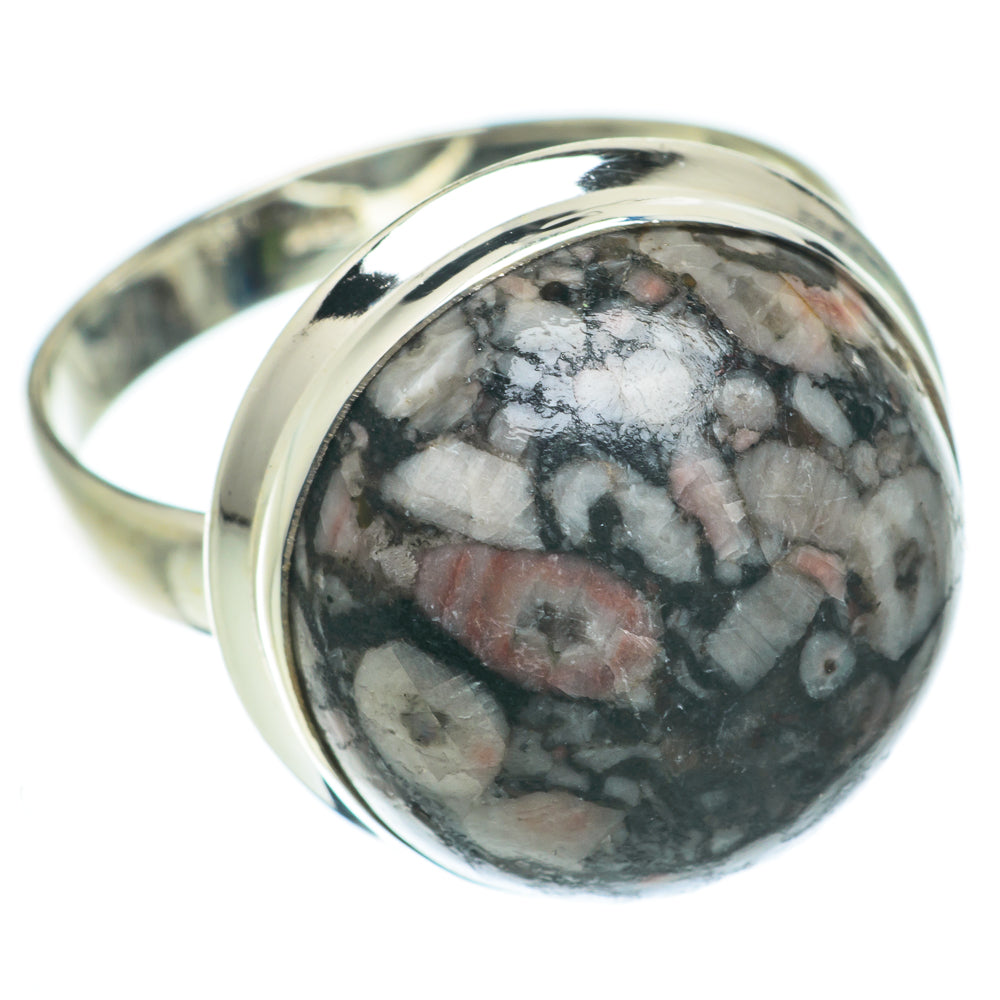 Crinoid Fossil Rings handcrafted by Ana Silver Co - RING64138