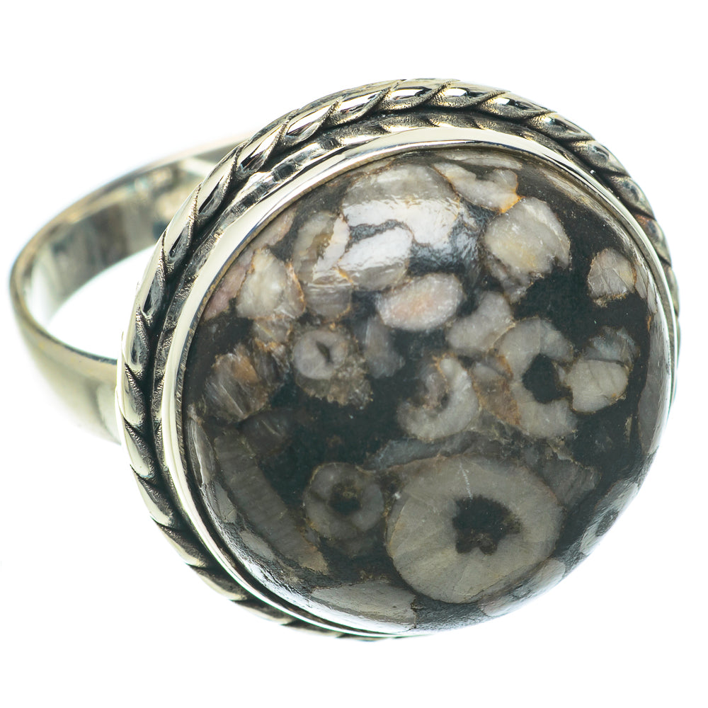 Crinoid Fossil Rings handcrafted by Ana Silver Co - RING64217