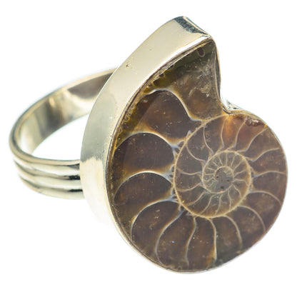Ammonite Fossil Rings handcrafted by Ana Silver Co - RING66924