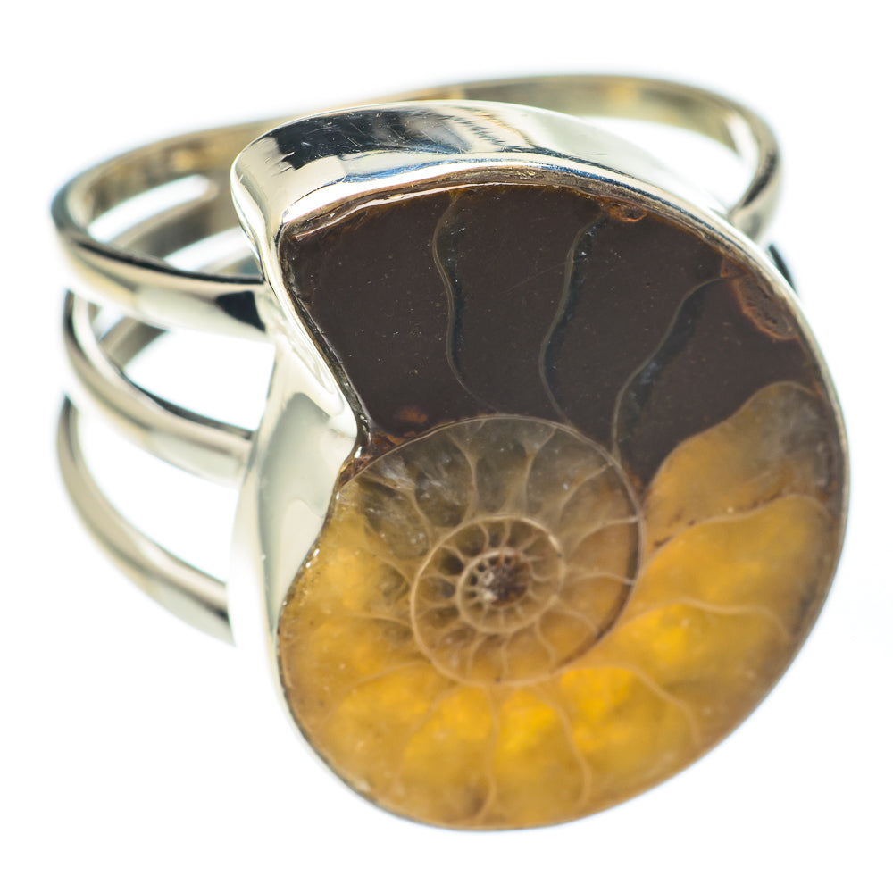 Ammonite Fossil Rings handcrafted by Ana Silver Co - RING67202