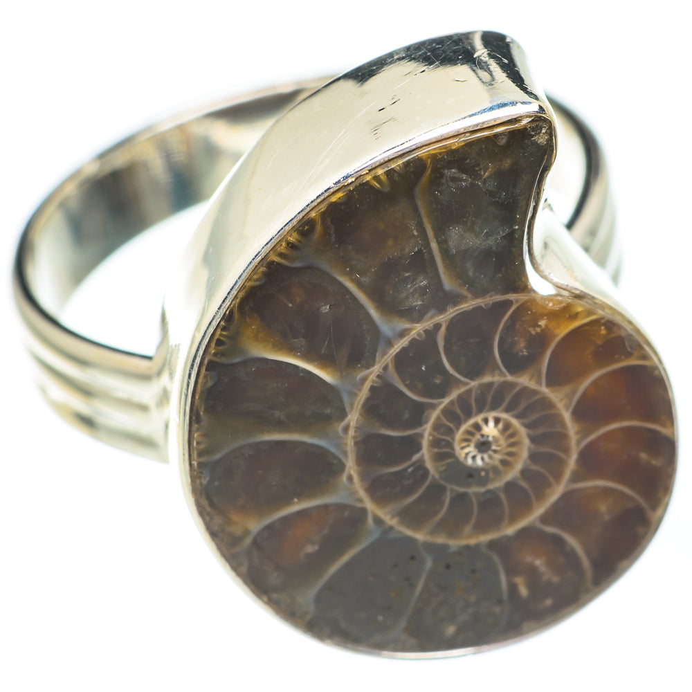 Ammonite Fossil Rings handcrafted by Ana Silver Co - RING67351
