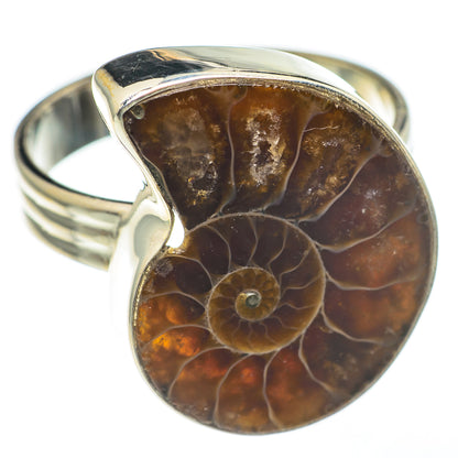Ammonite Fossil Rings handcrafted by Ana Silver Co - RING68185