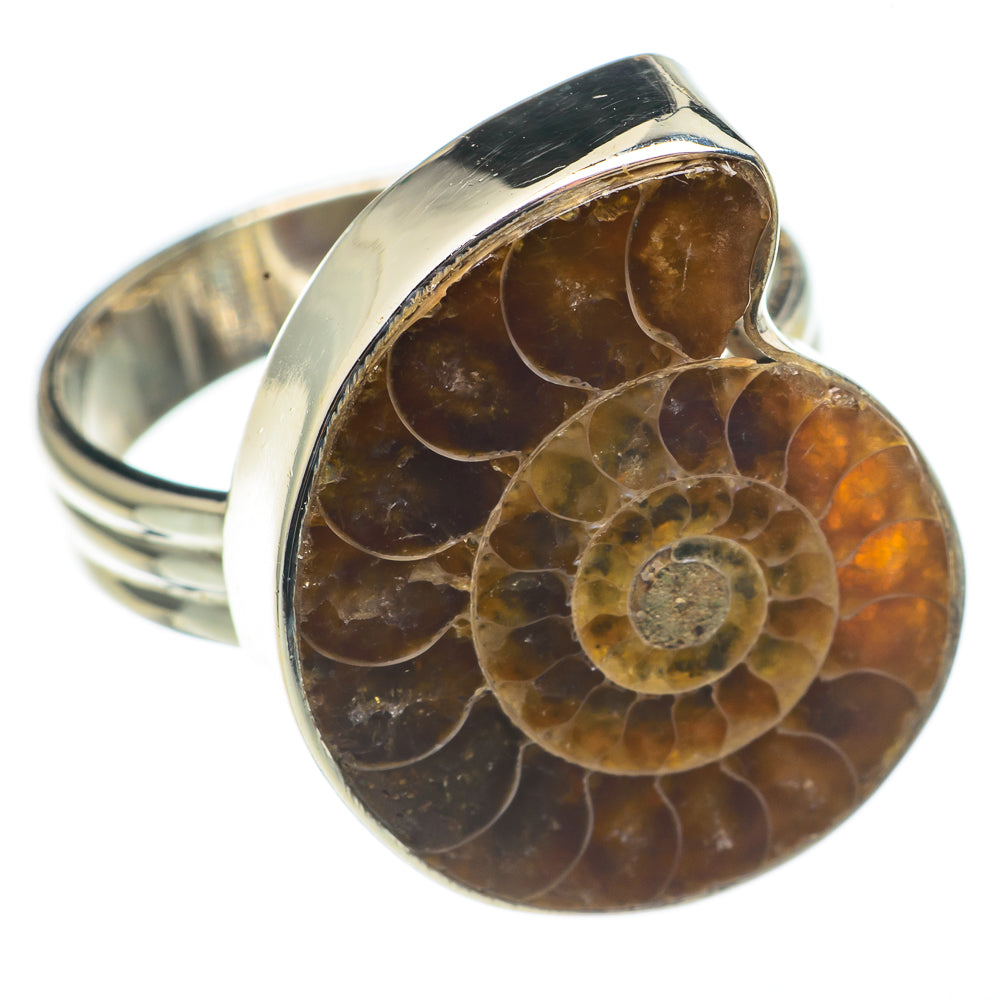 Ammonite Fossil Rings handcrafted by Ana Silver Co - RING68451