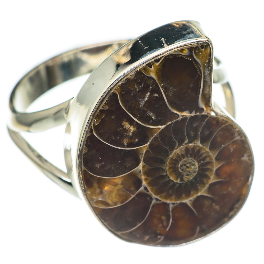 Ammonite Fossil Rings handcrafted by Ana Silver Co - RING68717