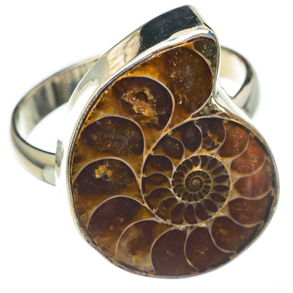 Ammonite Fossil Rings handcrafted by Ana Silver Co - RING68751