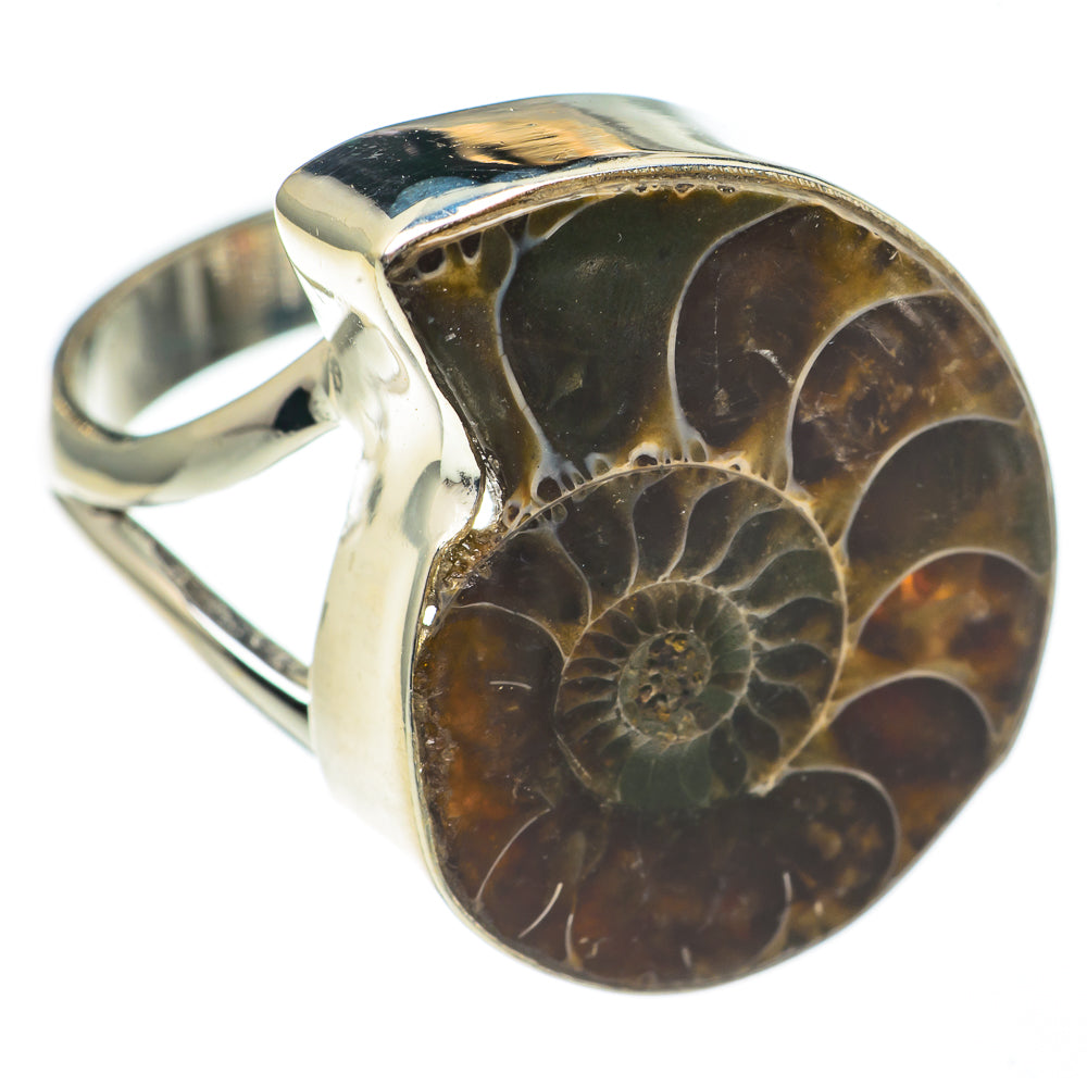 Ammonite Fossil Rings handcrafted by Ana Silver Co - RING68786