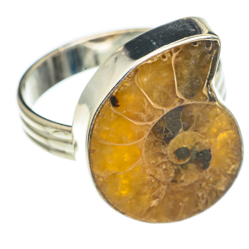 Ammonite Fossil Rings handcrafted by Ana Silver Co - RING68818