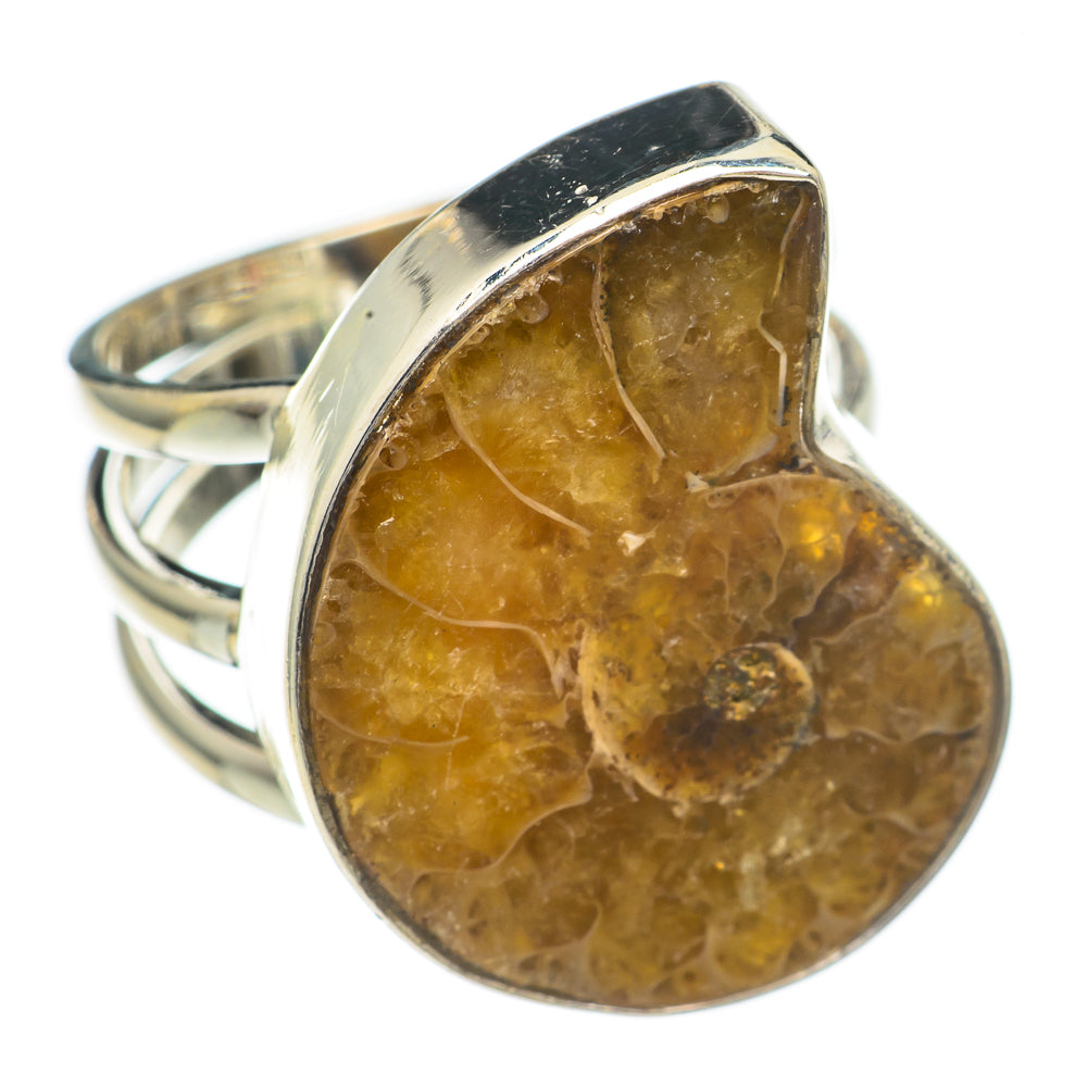Ammonite Fossil Rings handcrafted by Ana Silver Co - RING68850