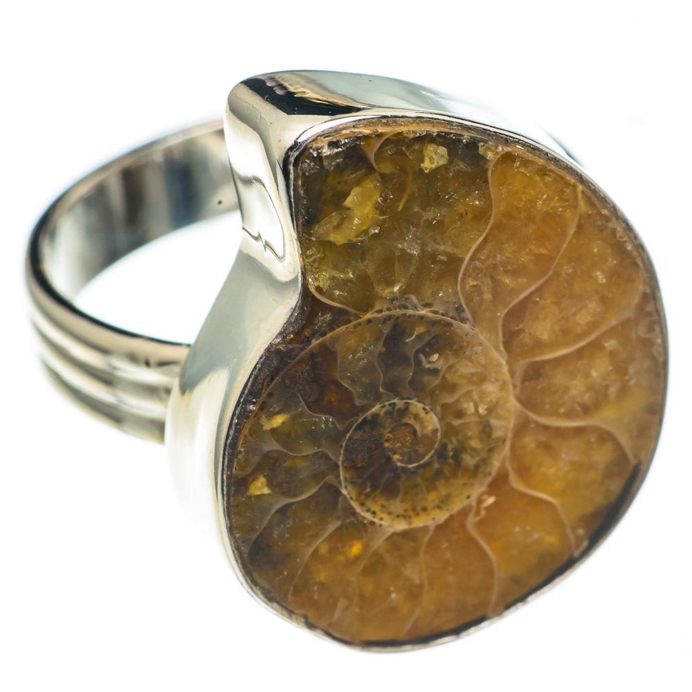 Ammonite Fossil Rings handcrafted by Ana Silver Co - RING68994
