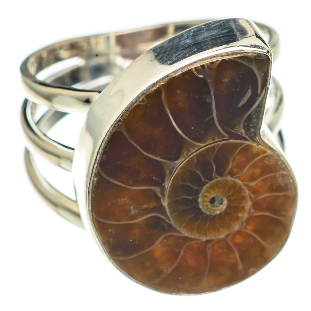 Ammonite Fossil Rings handcrafted by Ana Silver Co - RING69138