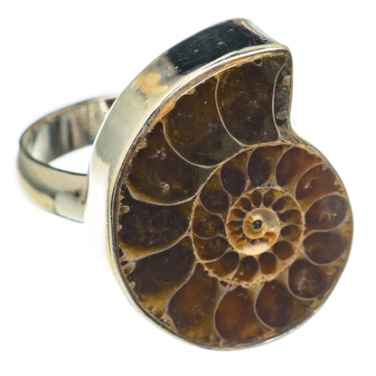 Ammonite Fossil Rings handcrafted by Ana Silver Co - RING69307