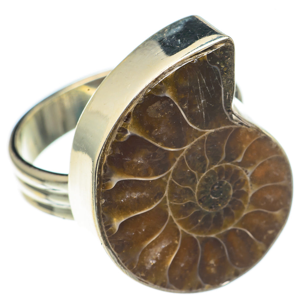 Ammonite Fossil Rings handcrafted by Ana Silver Co - RING69348