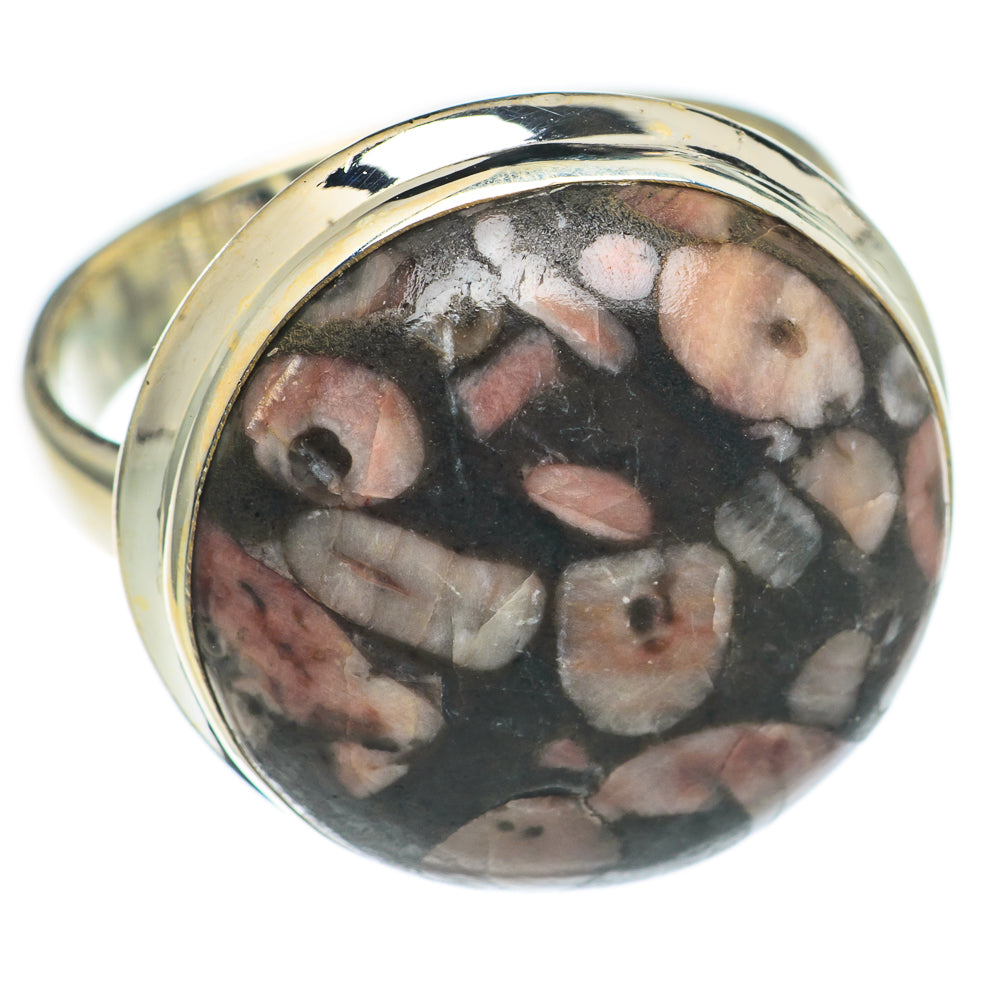 Crinoid Fossil Rings handcrafted by Ana Silver Co - RING69661