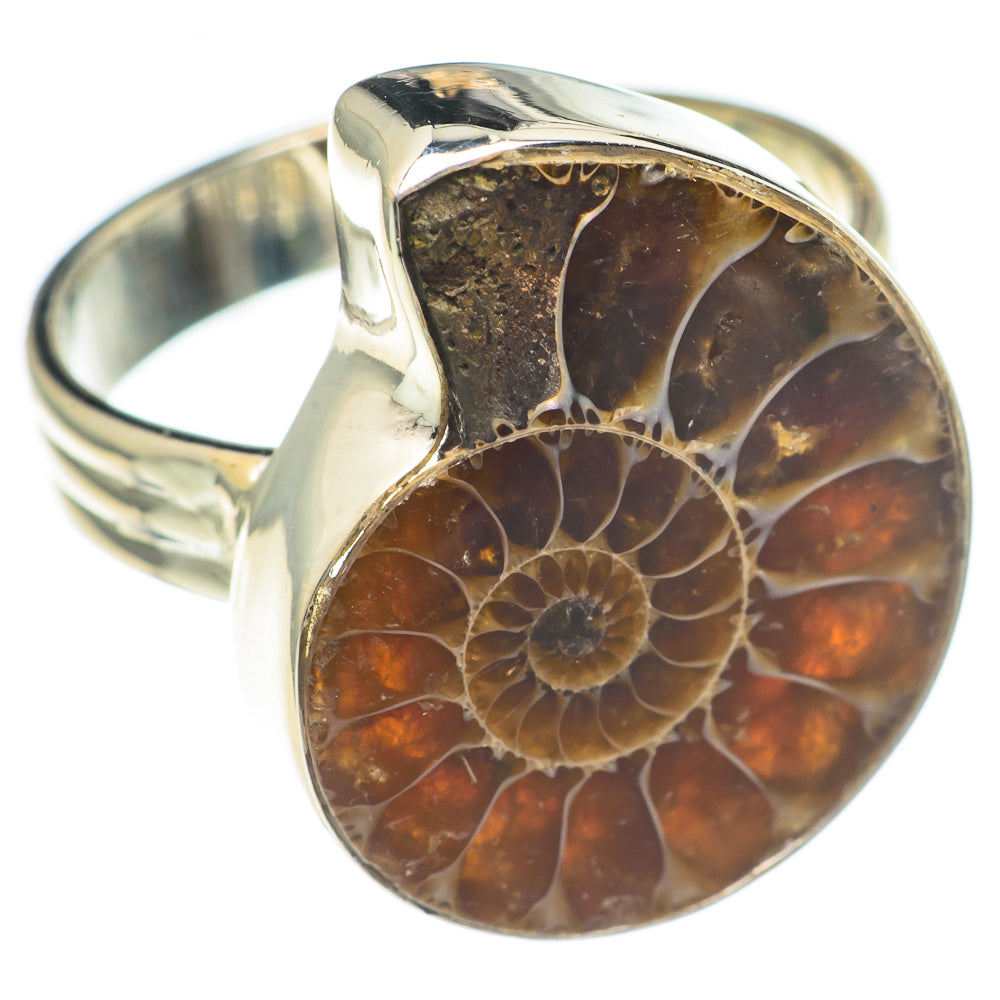 Ammonite Fossil Rings handcrafted by Ana Silver Co - RING69907