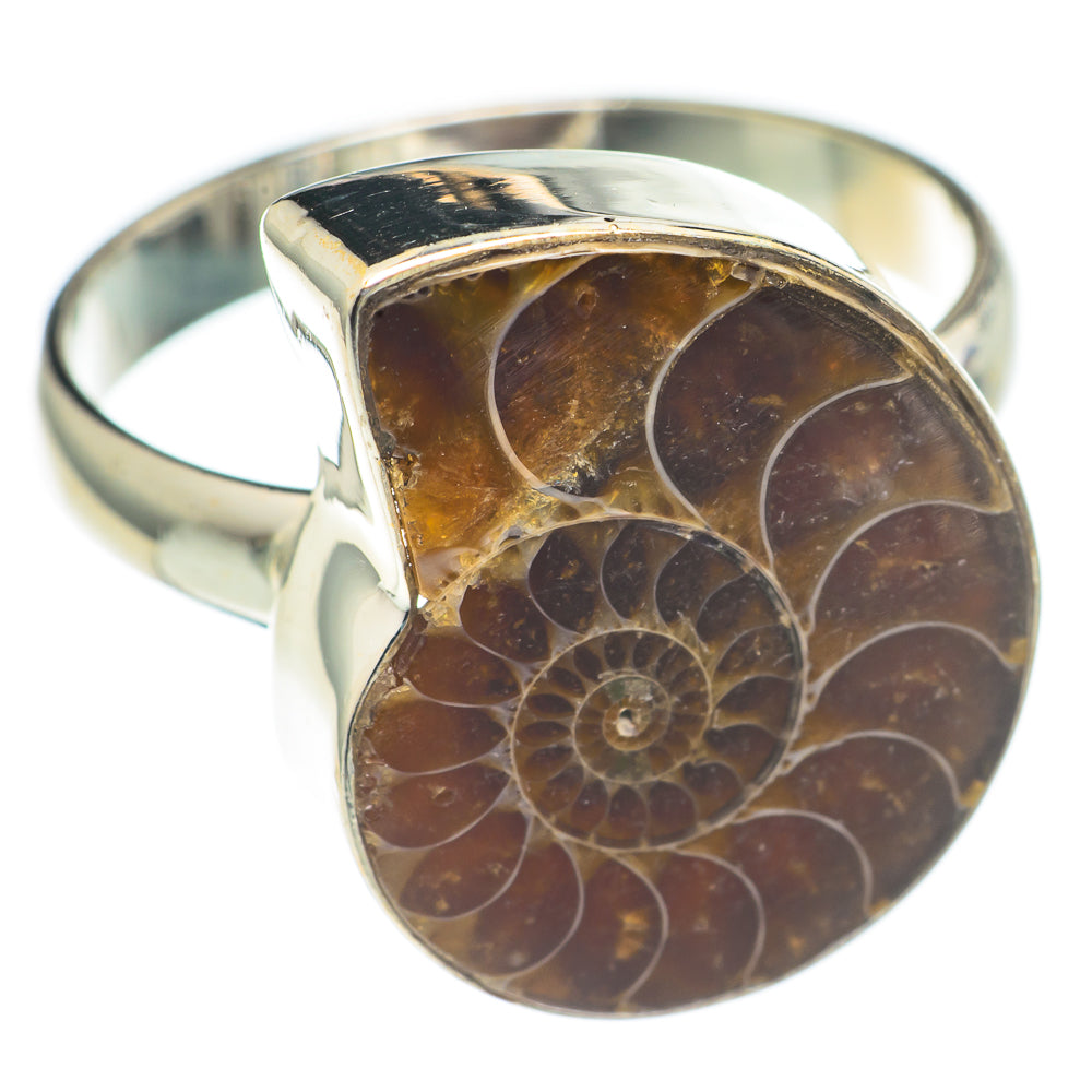 Ammonite Fossil Rings handcrafted by Ana Silver Co - RING70028