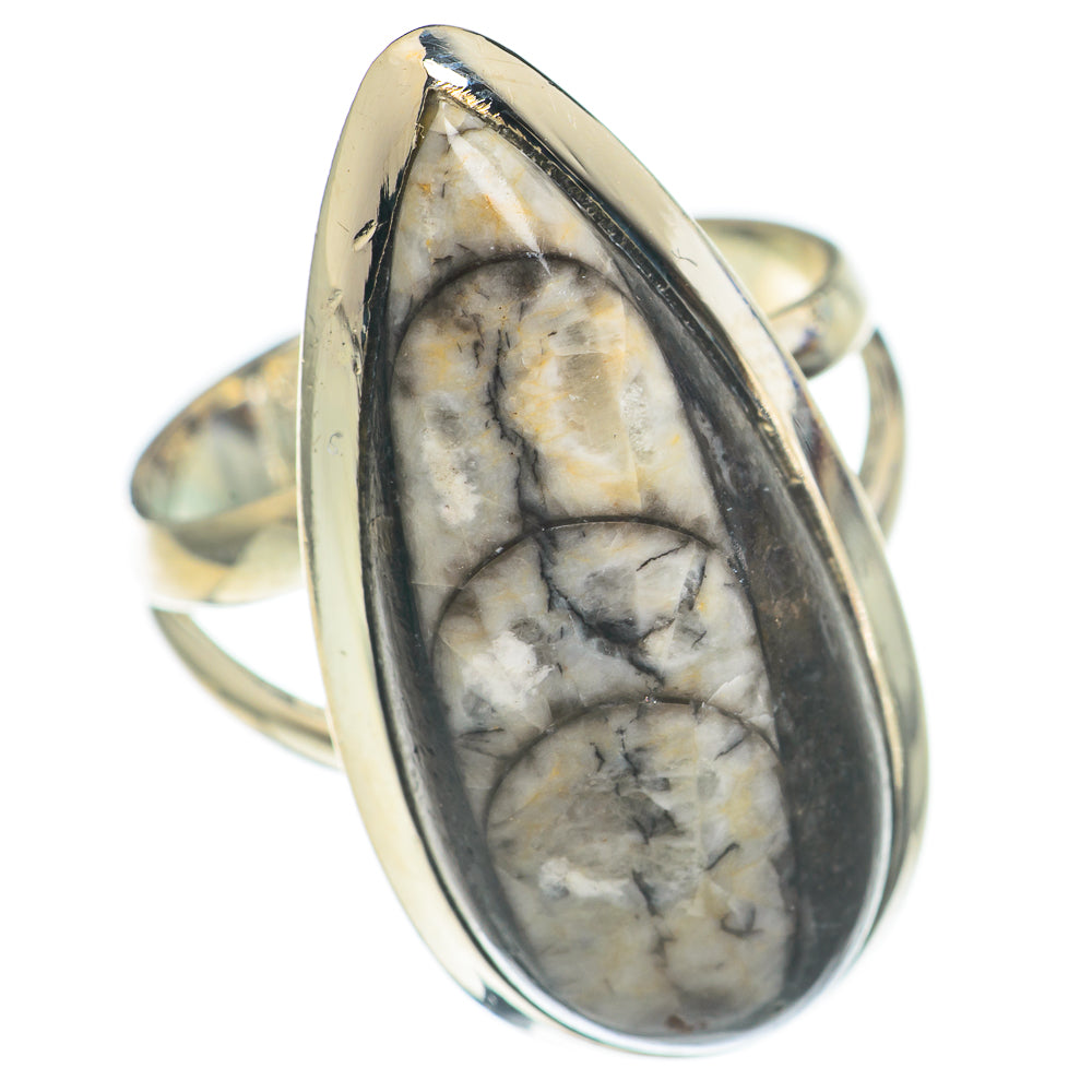 Orthoceras Fossil Rings handcrafted by Ana Silver Co - RING70179