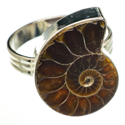 Ammonite Fossil Rings handcrafted by Ana Silver Co - RING70276