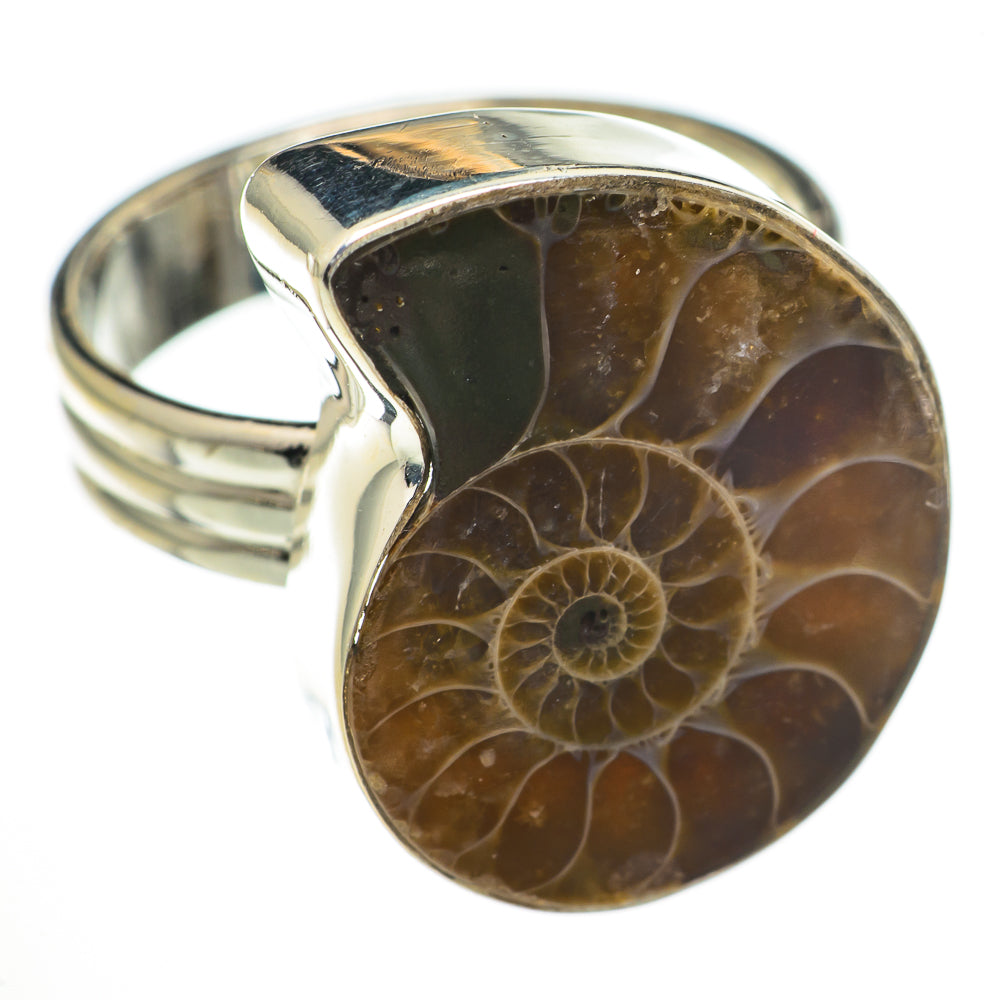Ammonite Fossil Rings handcrafted by Ana Silver Co - RING70581