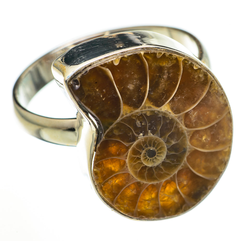 Ammonite Fossil Rings handcrafted by Ana Silver Co - RING70663