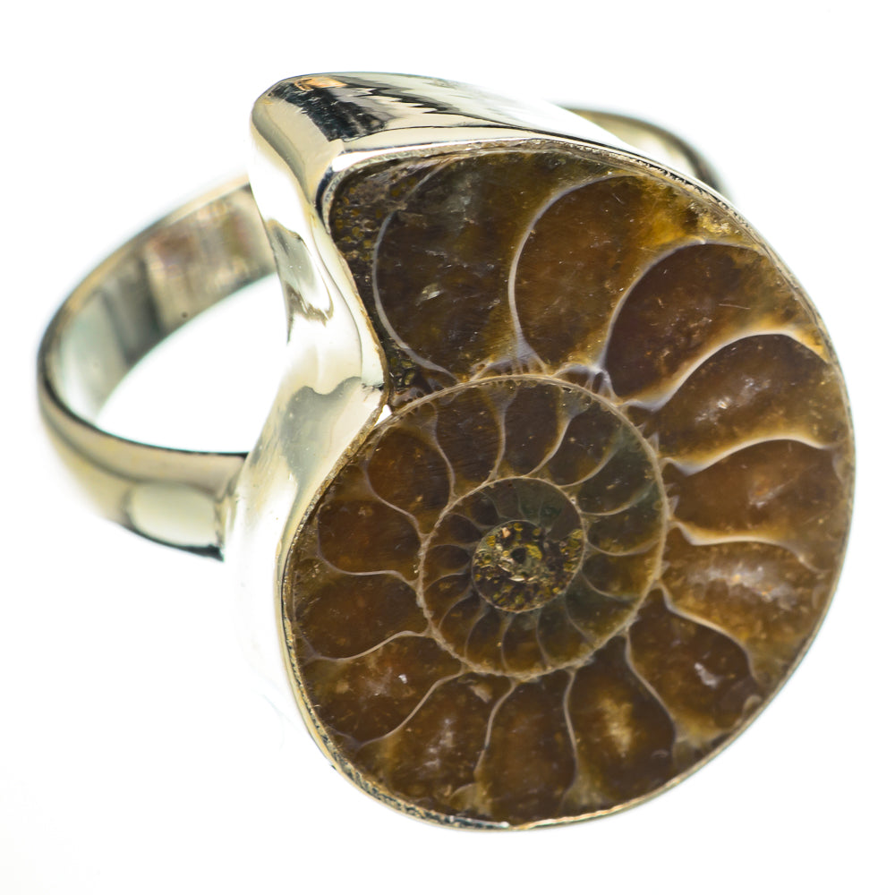 Ammonite Fossil Rings handcrafted by Ana Silver Co - RING70734