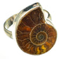 Ammonite Fossil Rings handcrafted by Ana Silver Co - RING70809