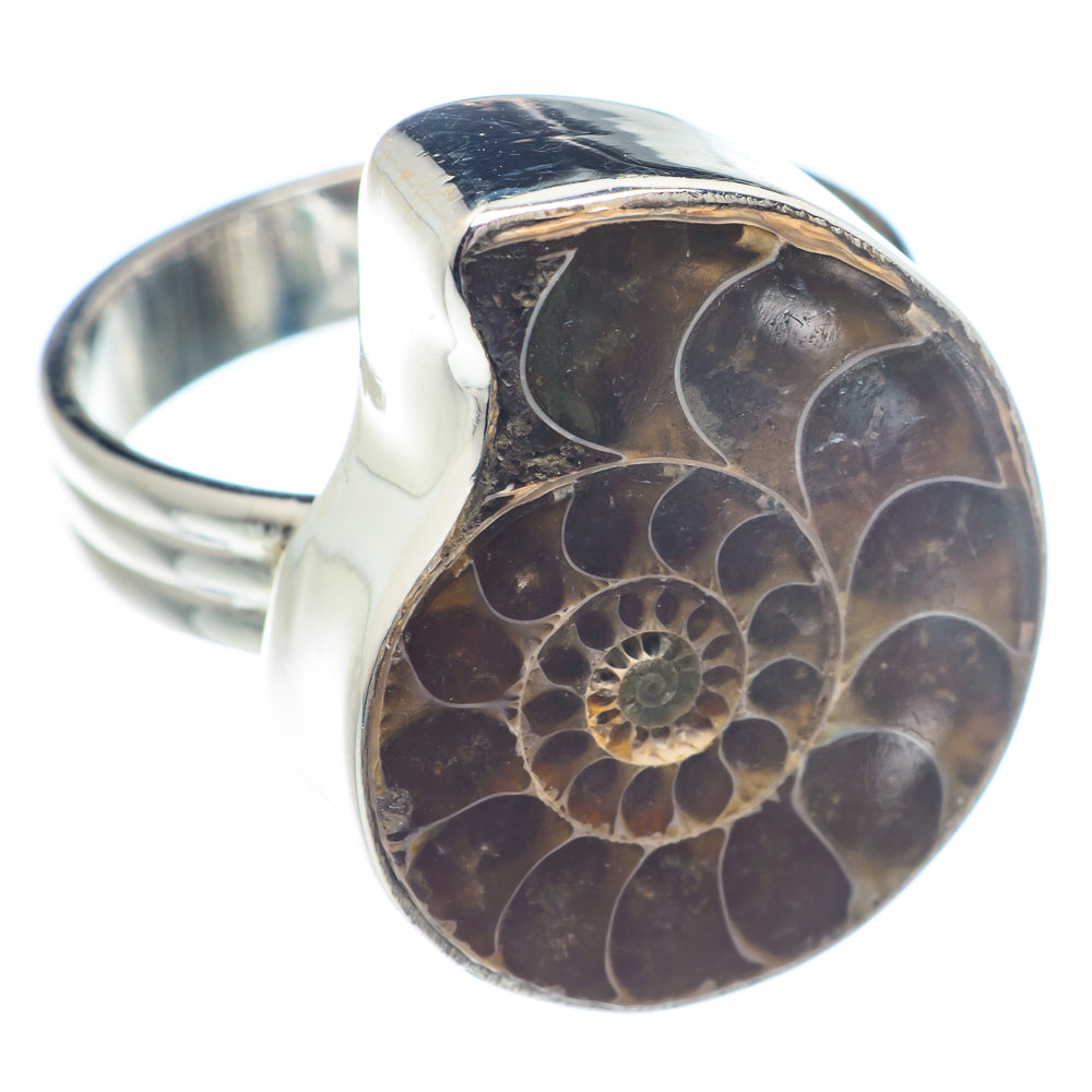 Ammonite Fossil Rings handcrafted by Ana Silver Co - RING71198