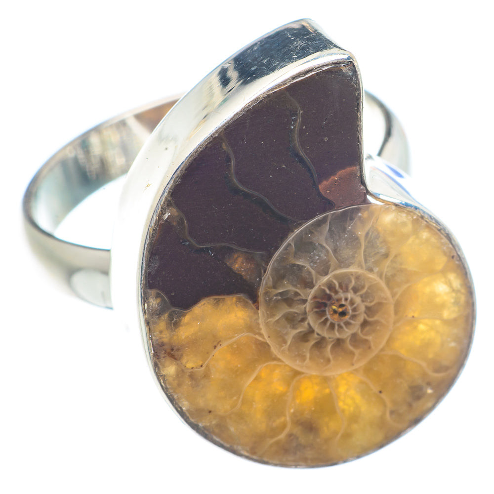 Ammonite Fossil Rings handcrafted by Ana Silver Co - RING71276