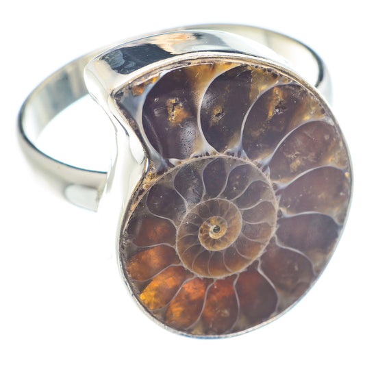 Ammonite Fossil Rings handcrafted by Ana Silver Co - RING71388