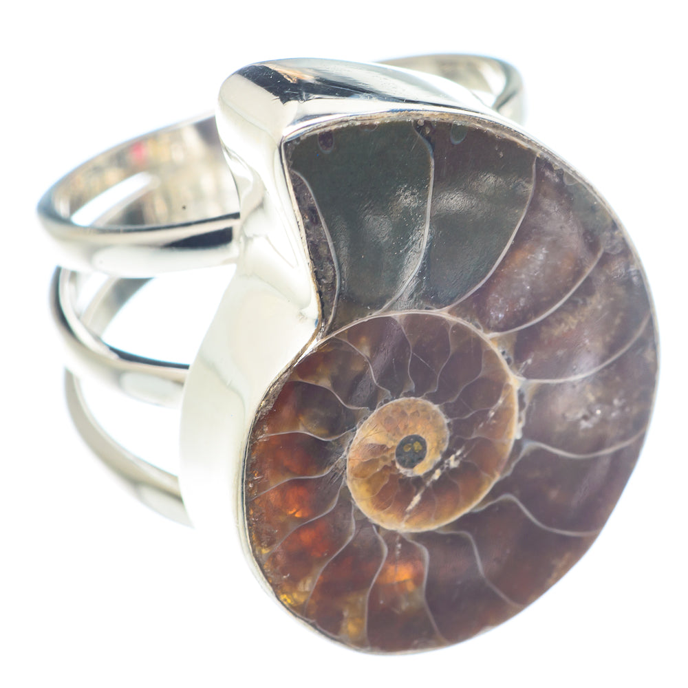 Ammonite Fossil Rings handcrafted by Ana Silver Co - RING71431