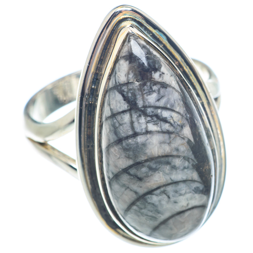 Orthoceras Fossil Rings handcrafted by Ana Silver Co - RING71679