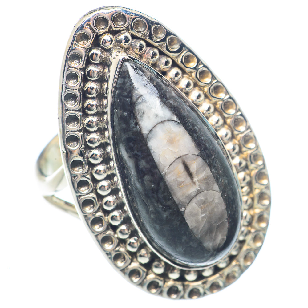 Orthoceras Fossil Rings handcrafted by Ana Silver Co - RING71794